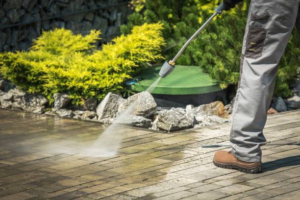Best Gutter Cleaning  in Flossmoor, IL